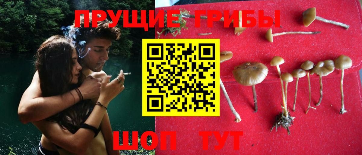 Галлюциногенные грибы прущие грибы Гусев