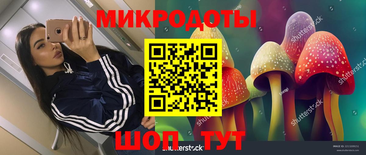 Гусев  Галлюциногенные грибы ЛСД  Вход с VPN 